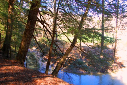 Creeksong creek