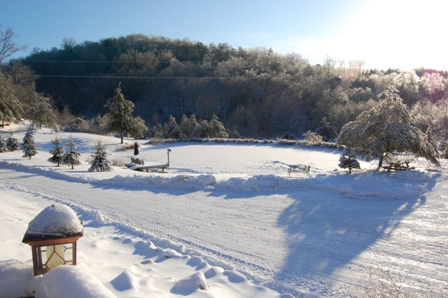 Pond in winter