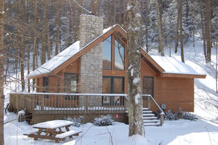 View from woods in back of cabin